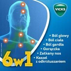 Vicks AntiGrip Complex 500 mg + 200 mg + 10 mg, polvo para solución oral, 10 sobres