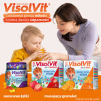 Visolvit Junior Naranja, para niños mayores de 3 años, 10 sobres