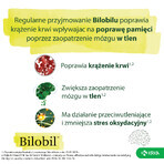 Bilobil Forte 80 mg, 90 cápsulas