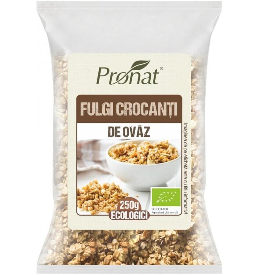 Fiocchi d'avena biologici croccanti, 250 g, Pronat