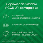 ¡Vigor Up!, 30 comprimidos