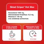 Gripex Hot Max 1000 mg + 100 mg + 12,2 mg, polvo para solución oral, 12 sobres