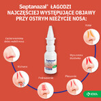 SeptaNazal para adultos (1 mg + 50 mg)/ ml, spray nasal, 10 ml