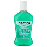 Dentica, enjuague bucal, Extra Fresh, 500 ml