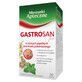 Gastrosan fix (1000 mg + 660 mg + 340 mg)/ 2 g, 20 sobres