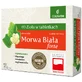 Zioła w tabletkach Morwa Biała Forte, 60 tabletek powlekanych
