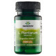 Swanson Probiotics L. Plantarum, 30 c&#225;psulas