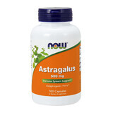 Now Foods, Astrágalo 500 mg, 100 cápsulas