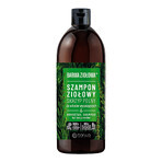 Barwa Ziołowa, horsetail shampoo, 480 ml