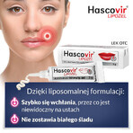 Hascovir Lipogel 50 mg/ g, gel, 3 g