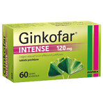 Ginkofar Intense 120 mg, 60 comprimate filmate