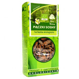 Darya Natury Pączki Sosny (Brotes de pino), té ecológico, 50 g