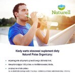 Naturell Organic Potassium, 100 comprimés