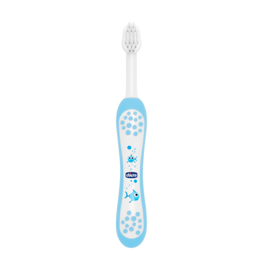 Chicco, brosse à dents, après 6 mois, bleue, 1 pièce