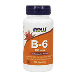 Now Foods B-6 100 mg, vitamina B6, 100 cápsulas