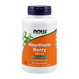 Now Foods Hawthorn Berry 540 mg, fruto de espino, 100 cápsulas