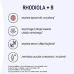 Naturell Rhodiola + B, 60 comprimés