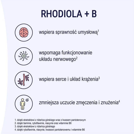 Naturell Rhodiola + B 60 tabletek: ceny i cechy