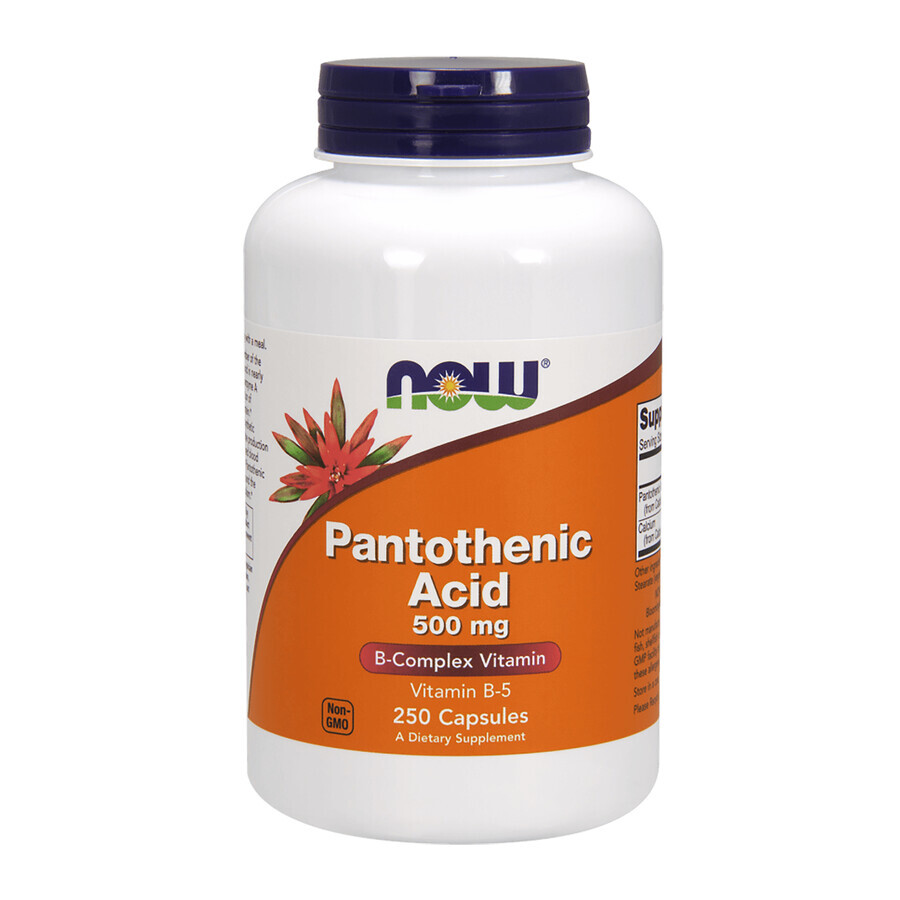 Now Foods Pantothenic Acid, ácido pantoténico 500 mg, 250 cápsulas vegetales