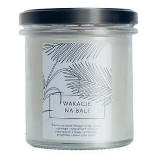 Hagi Holidays in Bali, vela de soja, 230 g