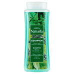 Joanna Naturia, champú capilar con ortiga y té verde, 500 ml