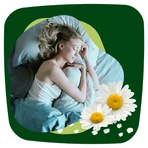 Naturella Ultra, toallas sanitarias con alas, manzanilla, Noche, 14 piezas