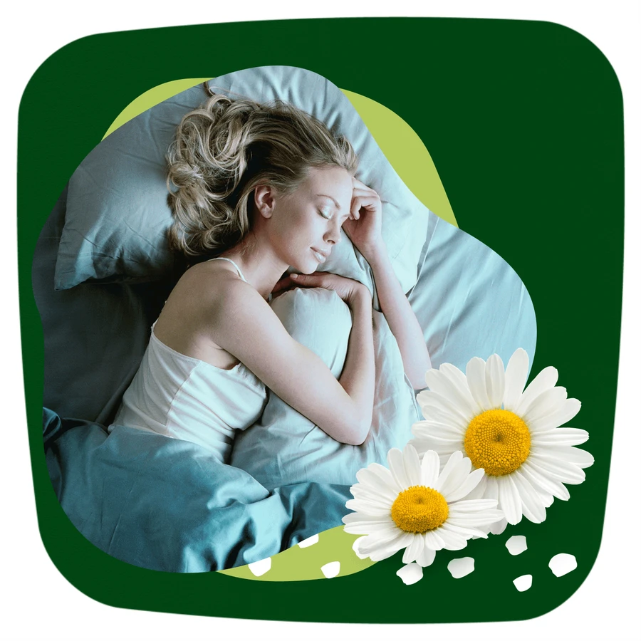 Naturella Ultra, toallas sanitarias con alas, manzanilla, Noche, 14 piezas