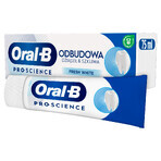 Oral-B Gum & Enamel Repair, pasta dentífrica, Fresh White, 75 ml