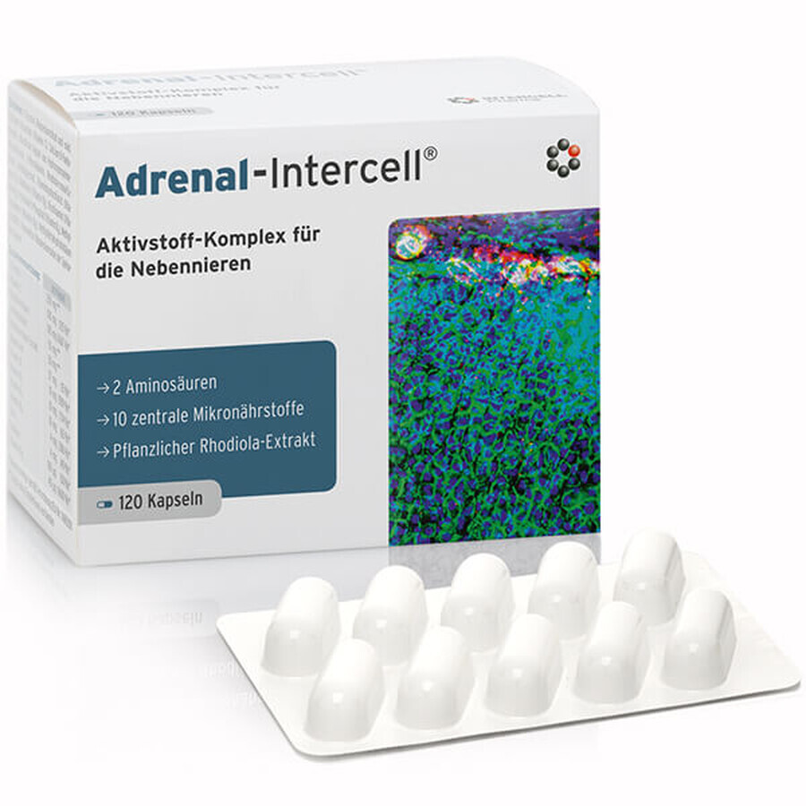 Mito-Pharma Adrenal-Intercell, 120 capsules