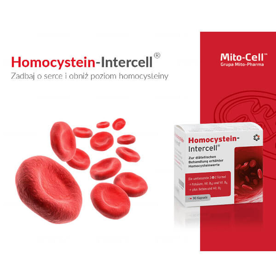 Mito-Pharma Homocisteína Intercell, 90 cápsulas