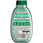 Garnier Botanic Therapy, champú refrescante para cabello normal con tendencia grasa, té verde, 400 ml