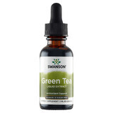 Swanson Extracto líquido de té verde, té verde, 29,6 ml