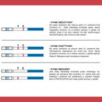 LabHome Strep A'Lert Throat Swab Test for Bacterial Tonsillitis and Scarlet Fever 1pc