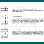 Pylori-Screen, rapid test for the detection of antibodies against Helicobacter pylori, 1 pc