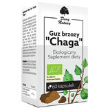 Regalo de la Naturaleza Chaga Abedul Tumor, 60 cápsulas