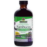 Nature's Answer Sambucus Original, saúco, 240 ml