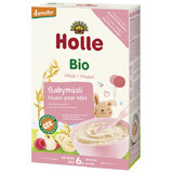 Holle Bio mueslipap met fruit, zuivelvrij, na 6 maanden, 250 g