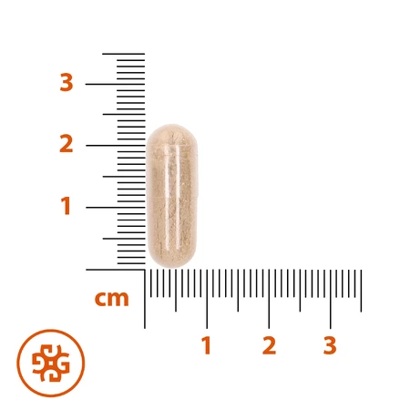 SEMA Lab Păr, piele, unghii, 60 capsule de celuloză