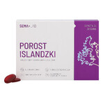 SEMA Lab Icelander, goût cassis, 60 pastilles