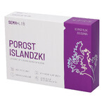 SEMA Lab Icelander, goût cassis, 60 pastilles