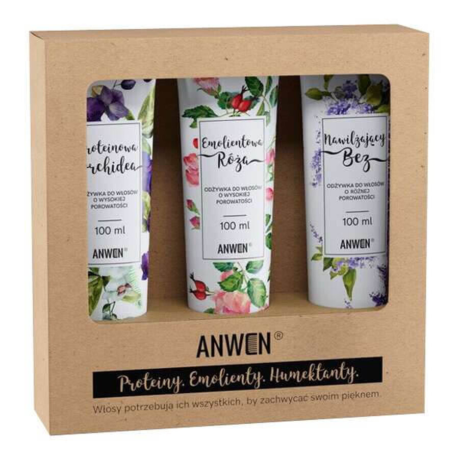 Anwen set, acondicionadores para cabello de alta porosidad, 3 x 100 ml