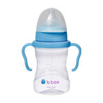 B.Box, vaso para aprender a beber, set 4 en 1, arándano, a partir de 4 meses, 240 ml