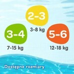 Huggies Little Swimmers, braguitas, para natación, Where's Dory, talla 3-4, 7-15 kg, 12 unidades