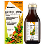 Floradix Inmunidad y Energía, 250 ml