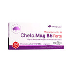 Olimp Chela-Mag B6 Forte, 60 cápsulas