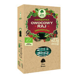 Dary Natury Owocowy Raj, té ecológico, 2,5 g x 25 sobres