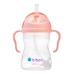 B.Box, biberon con cannuccia, Gelato Tutti Frutti, da 6 mesi, 240 ml