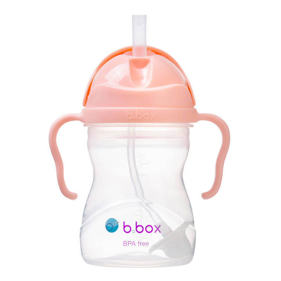 B.Box, biberon con cannuccia, Gelato Tutti Frutti, da 6 mesi, 240 ml