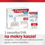 Flegamax Forte 2,7g, 6 Portionsbeutel