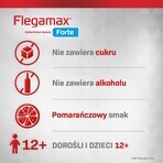 Flegamax Forte 2,7g, 6 Portionsbeutel